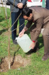 کاشت نهابل