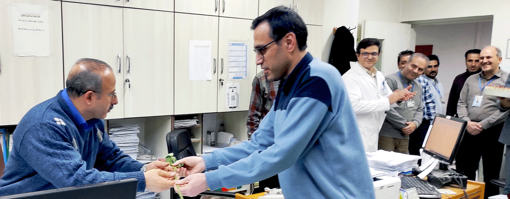 گرامیداشت روز حسابدار در بیمارستان امام خمینی(ره) اردبیل